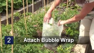 Landscaping Tips
