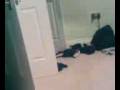 videos de hockey skill 2