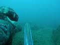 spearfishing in israel take 4..,морская подводная охота в израиле  Денис Сандлер (fishdancer) צלילה חופשית