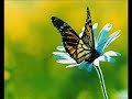Abraham - Hicks - Speeding Deliberate Creation