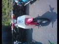 My Honda 50 collection!