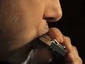 train harmonica demo