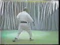 Kata - Pinan Nidan (With Sound) Kata - Pinan Nidan (With Sound)