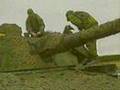 M113 Gavin Visual, Infared and Radar Camouflage by Saab