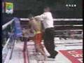 Kung Fu (Sanshou) VS Muay Thai