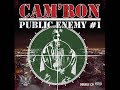 Troublemakers-Cam'Ron