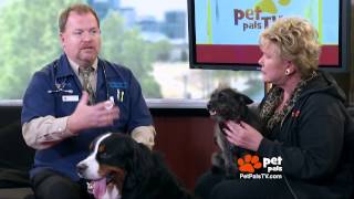 Who's Your Daddy?  DNA Kit.