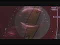 Cidad�o Quem - O Amanh� Colorido