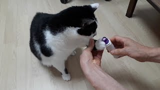 video thumbnail Cat nail grinder youtube