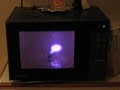 clear 40w globe  in the microwave