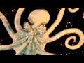 Hyphen clip Serpentine