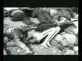 Channel 4's Battle for the Holocaust, broadcast on Britain's first official Holocaust Memorial Day, raises controversial questions about how the world perceives the Nazi extermination. In this programme, Jewish historians look at how our understanding of the Holocaust has changed in the five decades since the end of the Second World War and ask whose agenda is being served by the proliferation of museums, memorials and commemoration events.