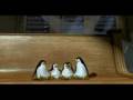 Dreamworks trailer