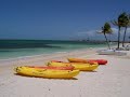 romantic planet vacations takes you on a short travel journey through the atlantis resort in the bahamas and it's new luxury tower - the cove as well as some more of the islands of the bahamas. this resort is ideal for honeymoons and destination weddings.