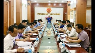 Cấp bách phòng chống Dịch tả lợn Châu Phi