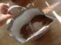 Cat in the Bag  (=^..^=)