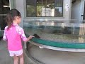 Aquarium at Camp Emerald Bay
