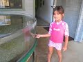 Aquarium at Camp Emerald Bay