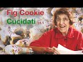 Holiday Cooking: Sicilian Fig Cookies - Part I