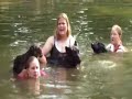 Amazing Gracie and Friends Amazing Gracie and Friends