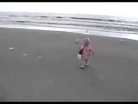 Lily and the Sea Pines Seagulls, ...