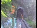 Nice-Lingostiere1