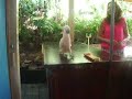 See Video