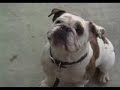 Charmed-total eclipse of the heart remix