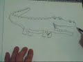 How to draw a crocodile cartoon