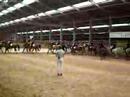 Carrouselwedstrijd manege Lies Beuker de Laky Lady\
