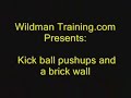 wildman training  kick ball pushups