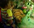 Festa-da-Floresta-An