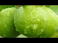 Malayalam Christain Song PADDUM NAAN ESHUVINNU...