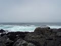 Isla Negra