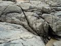 Isla Negra