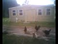 Sub Prime Farm life... Roland Arnall Ameriquest Sucks tour