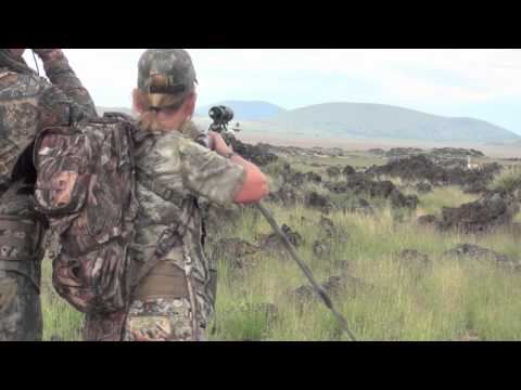 arizona-bc-pronghorn-with-timberland-outfitters