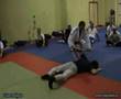 Ver Video