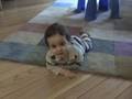 videos de Skyler crawls (sorta) and smiles