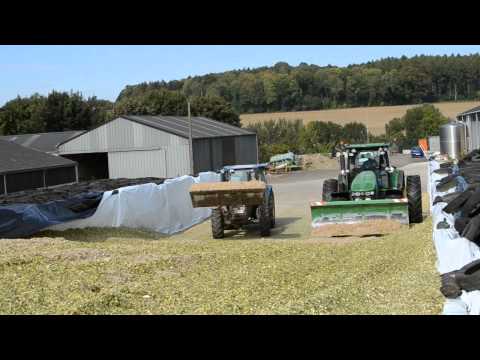 ensilage - Ensilage de maîs en Belgique réaliser par l'entreprise agricole STASSART. Vidéo et montage: Lambion Ambroise (Filmer avec un appareille photo réflex)