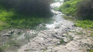 الرحاله حمد الطلالقه - قرية البطيمات المهجره