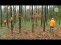 didacta die Bildungsmesse 2012