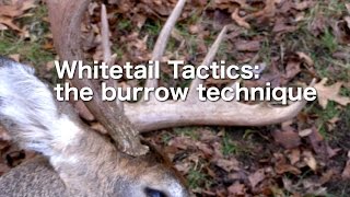 Whitetail Tactics: the Burrow Technique