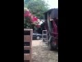 ทดสอบ order 6 extreme II ลำโพง C 18 - 650 EL - YouTube
