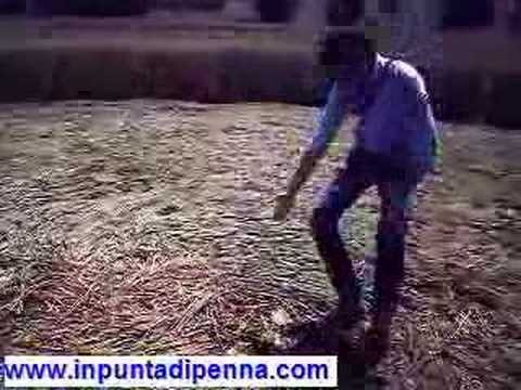 Immagine anteprima YouTube