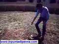 Crop Circles [Ancona - Italy] Cerchi nel grano...UFO???