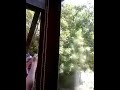 Wasps vs Spray Mount