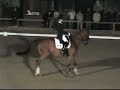 Jessica Werndl and Duke in the Floodlight Grand Prix Freestyle to Music at Thann