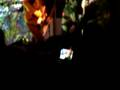 videos de Viscera Eyes Omar Solo LA Detour October 4th