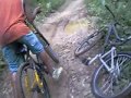Pitoco � n�is